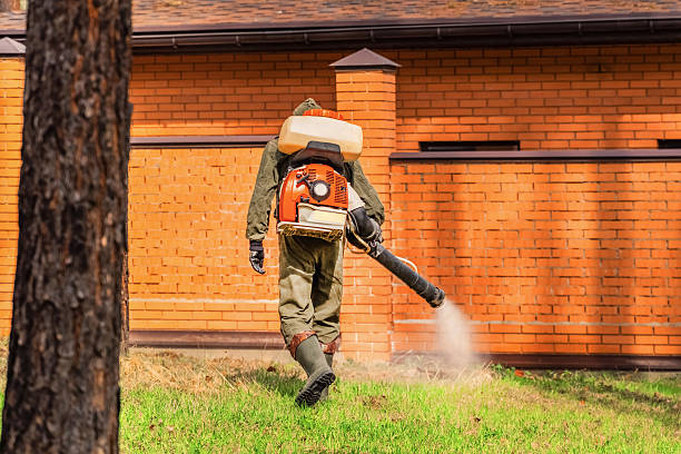 Top rated local Wasp Removal specialists in Gilberts, IL
